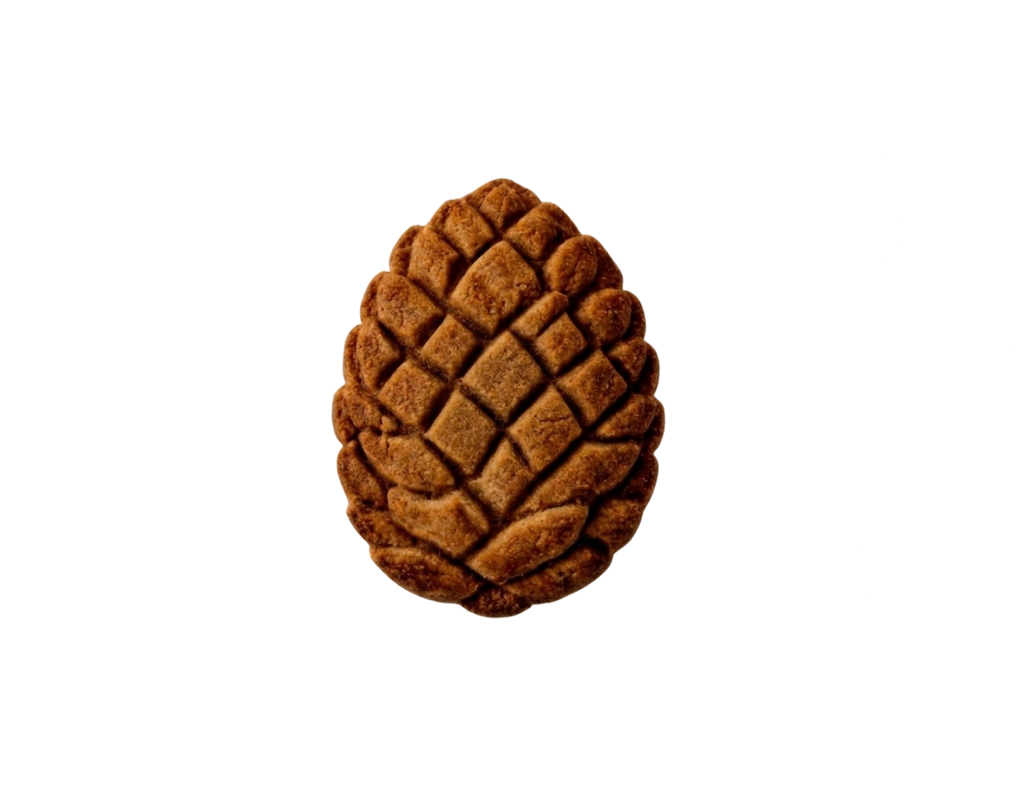 East Coast Spice Single Cookie 1 oz (500 pcs)