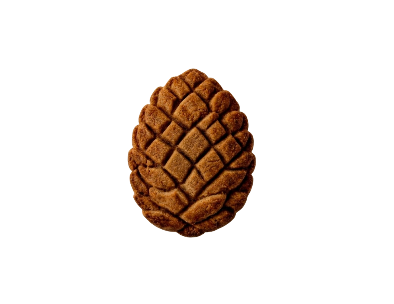 East Coast Spice Single Cookie 1 oz (500 pcs)